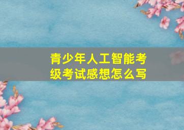 青少年人工智能考级考试感想怎么写