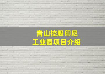 青山控股印尼工业园项目介绍