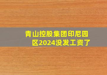 青山控股集团印尼园区2024没发工资了