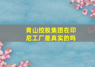 青山控股集团在印尼工厂是真实的吗