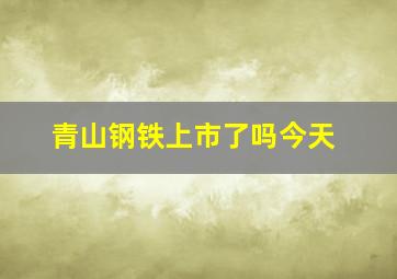 青山钢铁上市了吗今天