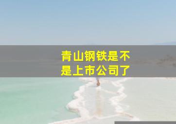 青山钢铁是不是上市公司了