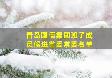 青岛国信集团班子成员候进省委常委名单