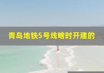 青岛地铁5号线啥时开建的