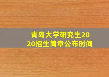 青岛大学研究生2020招生简章公布时间