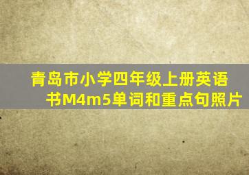 青岛市小学四年级上册英语书M4m5单词和重点句照片