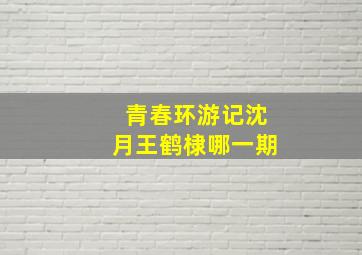 青春环游记沈月王鹤棣哪一期