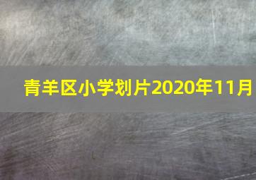 青羊区小学划片2020年11月