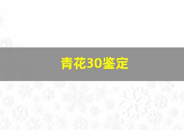 青花30鉴定