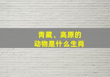 青藏、高原的动物是什么生肖