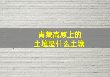 青藏高原上的土壤是什么土壤