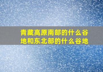 青藏高原南部的什么谷地和东北部的什么谷地