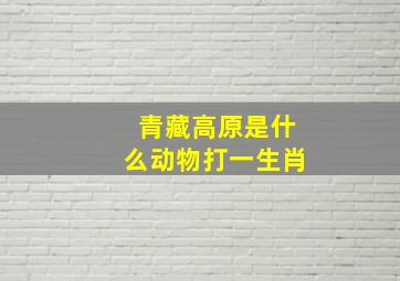 青藏高原是什么动物打一生肖