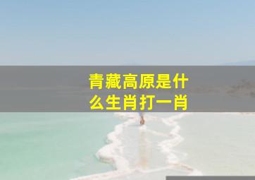 青藏高原是什么生肖打一肖