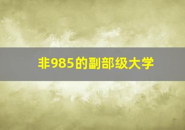 非985的副部级大学