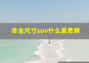 非全尺寸suv什么意思啊