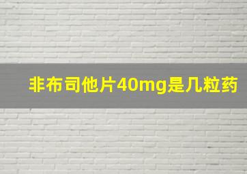 非布司他片40mg是几粒药