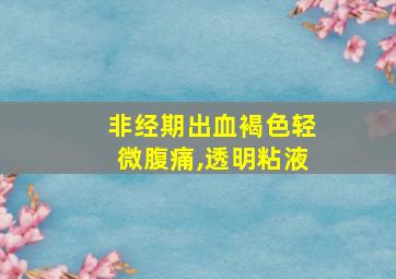 非经期出血褐色轻微腹痛,透明粘液