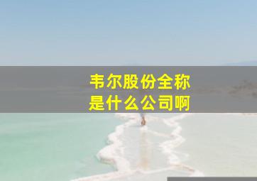 韦尔股份全称是什么公司啊