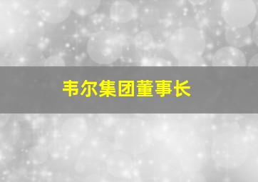 韦尔集团董事长