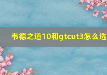 韦德之道10和gtcut3怎么选