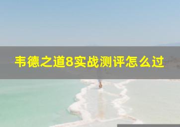 韦德之道8实战测评怎么过