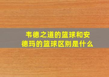 韦德之道的篮球和安德玛的篮球区别是什么