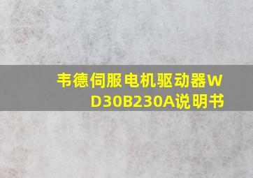 韦德伺服电机驱动器WD30B230A说明书