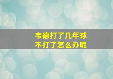 韦德打了几年球不打了怎么办呢