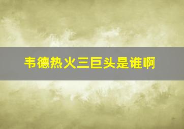 韦德热火三巨头是谁啊