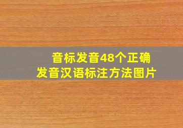 音标发音48个正确发音汉语标注方法图片