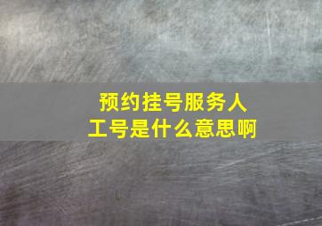 预约挂号服务人工号是什么意思啊