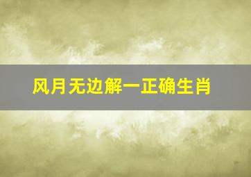 风月无边解一正确生肖