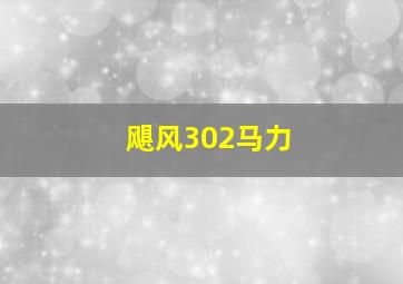 飓风302马力