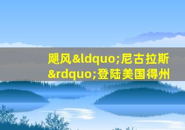 飓风“尼古拉斯”登陆美国得州