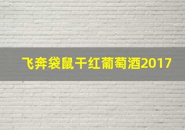 飞奔袋鼠干红葡萄酒2017