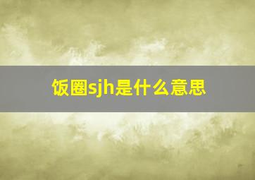 饭圈sjh是什么意思