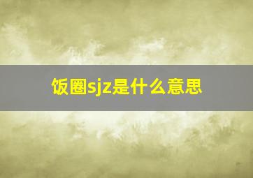 饭圈sjz是什么意思