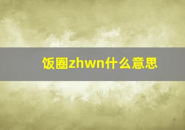 饭圈zhwn什么意思