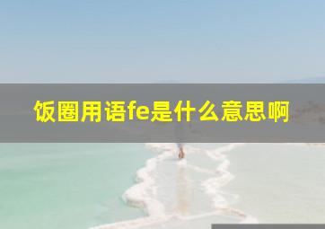 饭圈用语fe是什么意思啊