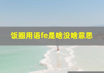 饭圈用语fe是啥没啥意思