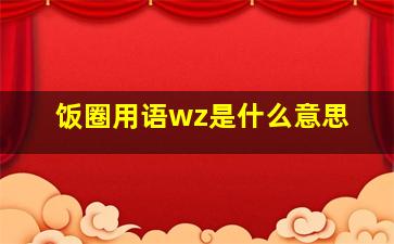 饭圈用语wz是什么意思