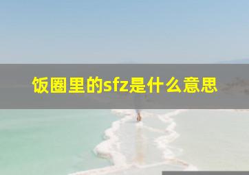 饭圈里的sfz是什么意思