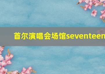 首尔演唱会场馆seventeen