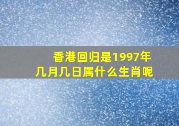 香港回归是1997年几月几日属什么生肖呢