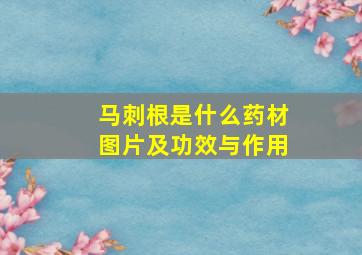 马刺根是什么药材图片及功效与作用