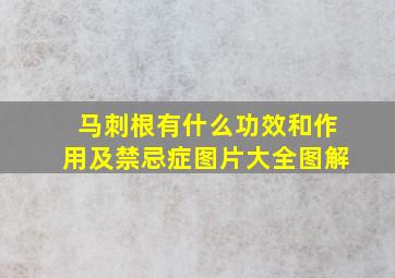 马刺根有什么功效和作用及禁忌症图片大全图解