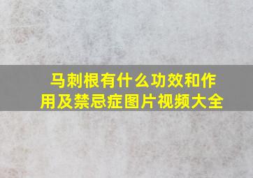 马刺根有什么功效和作用及禁忌症图片视频大全