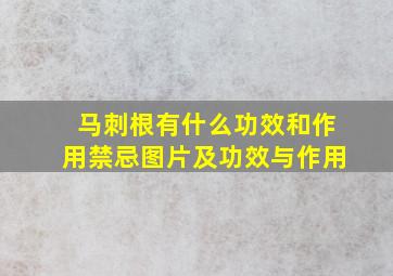 马刺根有什么功效和作用禁忌图片及功效与作用