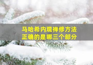 马哈希内观禅修方法正确的是哪三个部分